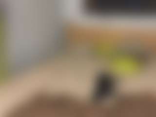 Zulema-Raven's Live Sex Cam Show