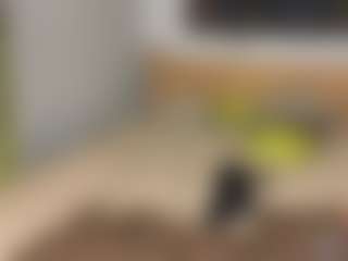 Zulema-Raven's Live Sex Cam Show