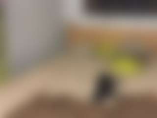 Zulema-Raven's Live Sex Cam Show