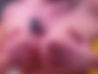 IgnaciaPickar's Live Sex Cam Show