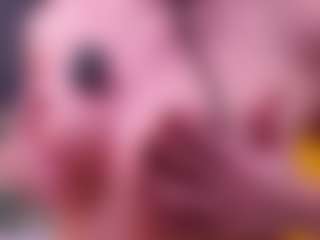 IgnaciaPickar's Live Sex Cam Show