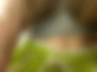 Kate's Live Sex Cam Show