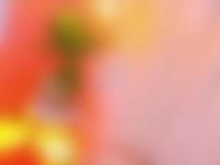 MiaHills's Live Sex Cam Show