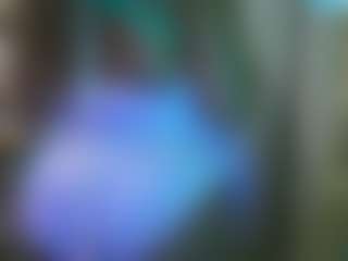 nastythicccdianasquirts's Live Sex Cam Show