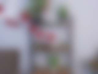 HarleeJeffery's Live Sex Cam Show