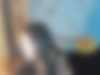 Briyitcollins's Live Sex Cam Show