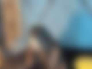 Briyitcollins's Live Sex Cam Show
