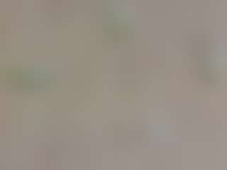 Live cam show with MarshaGriffin - Petite on AdultVida.com