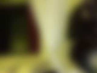 Live cam show with TheolaWaisman - Camel Toe on Soda Cam