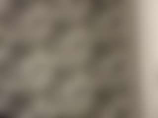 Roslynmiernik