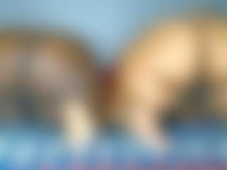 sexybigassT's Live Sex Cam Show