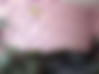SimaLehmer's Live Sex Cam Show