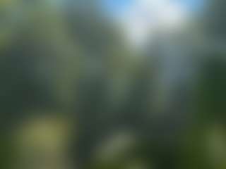 integrityofsin's Live Sex Cam Show