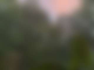 Live cam show with integrityofsin - Average on crypto-cams