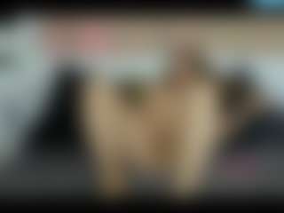 AlinaStorm's Live Sex Cam Show