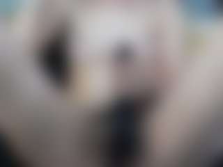 KalystaSwiss's Live Sex Cam Show