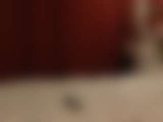 Live cam show with Amanda - Hairy Pussy on xxxlivecams.org