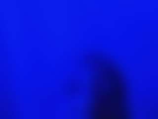 Huge cock.Ent.Videos and Pic's Live Sex Cam Show