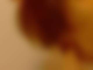 Ammellia's Live Sex Cam Show