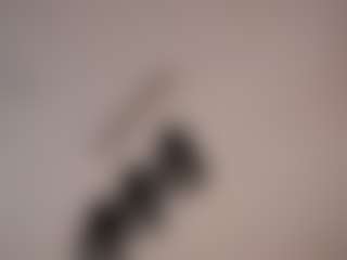 Veralahalias's Live Sex Cam Show