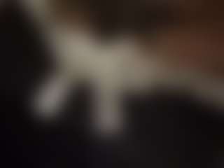 themostslutty's Live Sex Cam Show