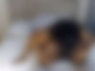 chloevee's Live Sex Cam Show