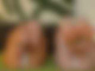 MarryMascola's Live Sex Cam Show