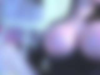 SOFIA NIX's Live Sex Cam Show