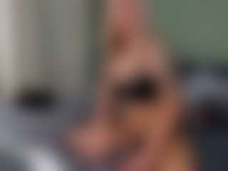 ValeriFoxy's Live Sex Cam Show