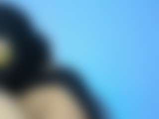 samiraa-halem's Live Sex Cam Show