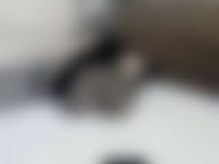 Live cam show with BigFluff33xx - Upskirt on Nude Chat * 1 On 1 Webcam Sex * Live Cam Show