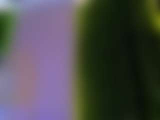 miss-evelina's Live Sex Cam Show