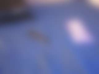 Emily-Blush's Live Sex Cam Show