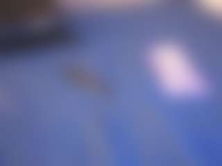 Emily-Blush's Live Sex Cam Show