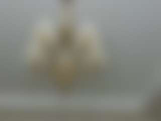 Amira's Live Sex Cam Show