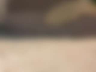 Amira's Live Sex Cam Show