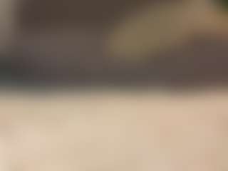 Amira's Live Sex Cam Show
