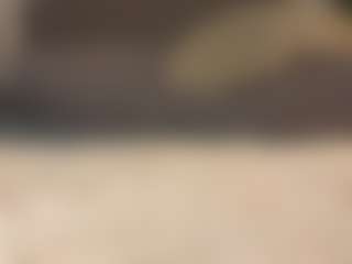 Amira's Live Sex Cam Show