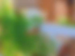 TaraMiller's Live Sex Cam Show