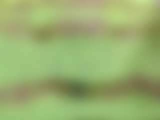 Live cam show with Arya-02 - Italian Mature on Camsoda | colombia