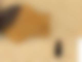 Lesys's Live Sex Cam Show