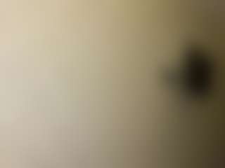 Live cam show with Lora - Twerk on xxxlivecams.org
