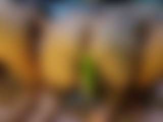 AmazonGirl's Live Sex Cam Show