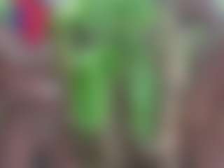 Live cam show with JungleFeverVR - Bear on luckytryst.com