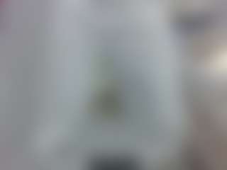 Shira's Live Sex Cam Show