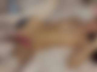 AlbertaFoulks's Live Sex Cam Show