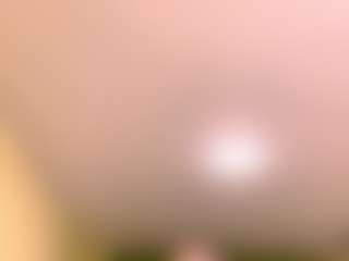 MadalineEngleson's Live Sex Cam Show