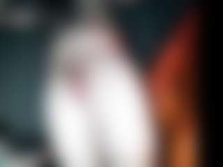 TheRealNojo's Live Sex Cam Show