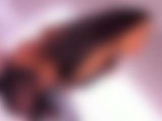 ANIE's Live Sex Cam Show