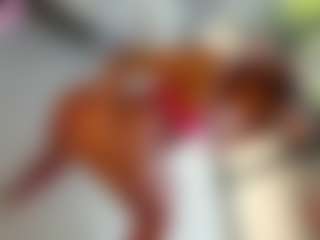 Live cam show with ANIE - Spank on Strip Flash - Live Sex Shows
